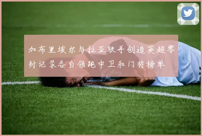 加布里埃尔与拉亚联手创造英超零封记录各自领跑中卫和门将榜单